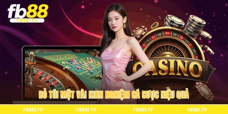 Bỏ túi một vài kinh nghiệm cá cược hiệu quả