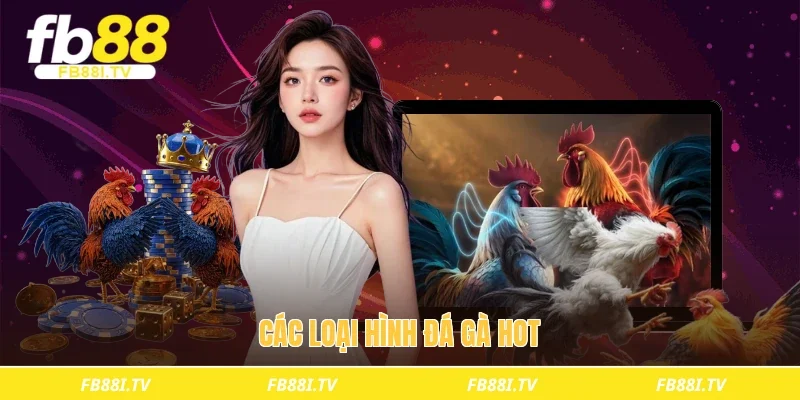 Các loại hình đá gà hot