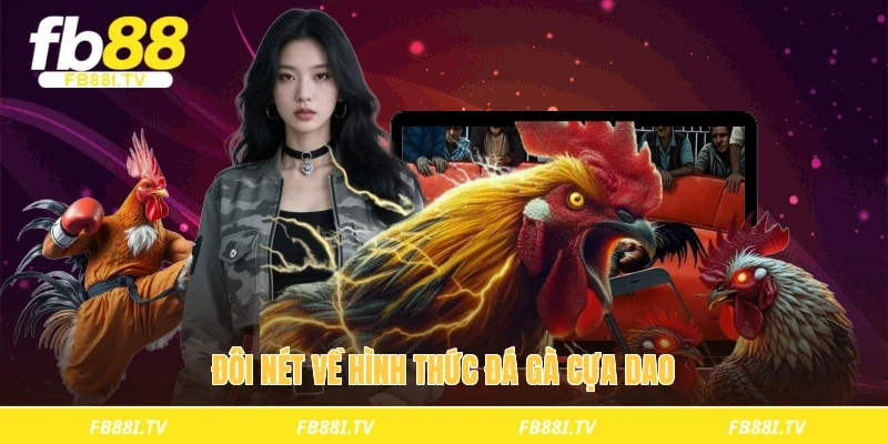 Đôi nét về hình thức đá gà cựa dao