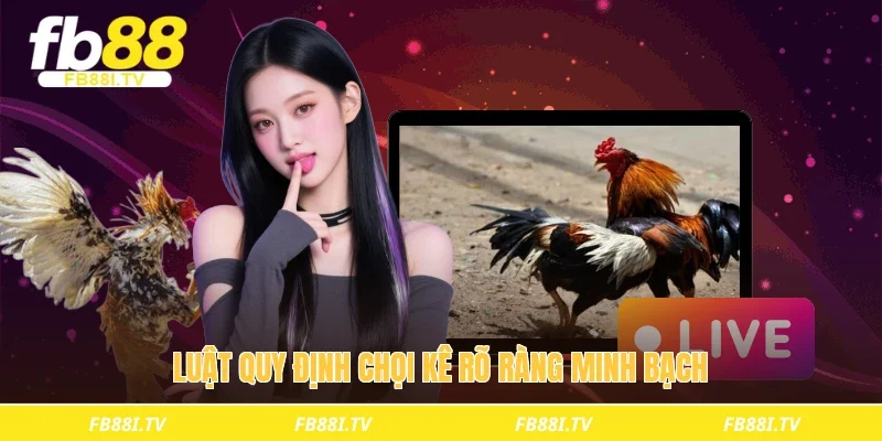 Luật quy định chọi kê rõ ràng minh bạch
