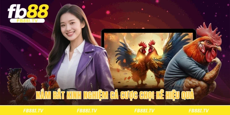 Nắm bắt kinh nghiệm cá cược chọi kê hiệu quả